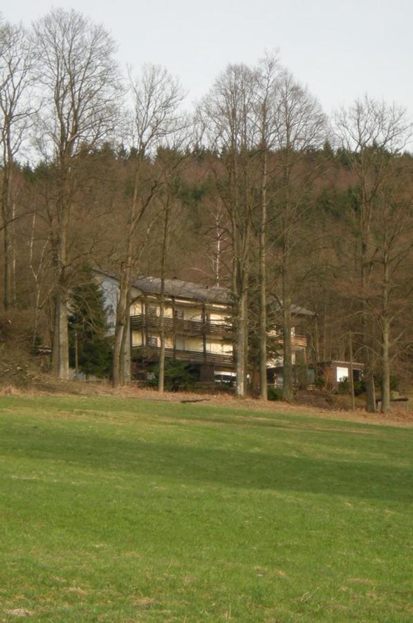 Ferienhaus Napoleon Waldmünchen Eksteriør billede